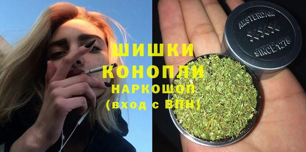 дживик Липки